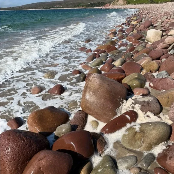 Giveaway - Picture 1 of 1